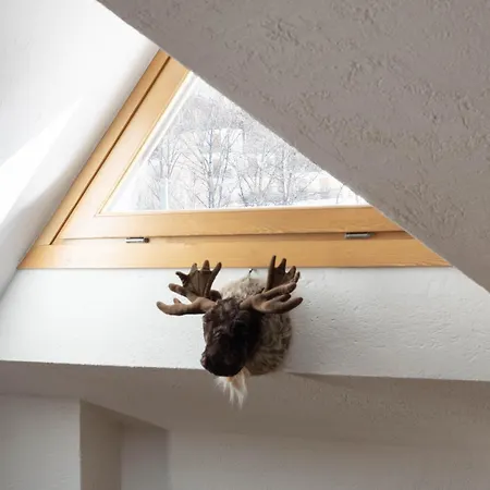 Il Triangolo Sul Bianco Degli Sportivi! Ferienhaus