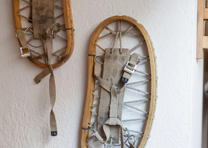 Il Triangolo Sul Bianco Degli Sportivi! * Κουρμαγιέρ